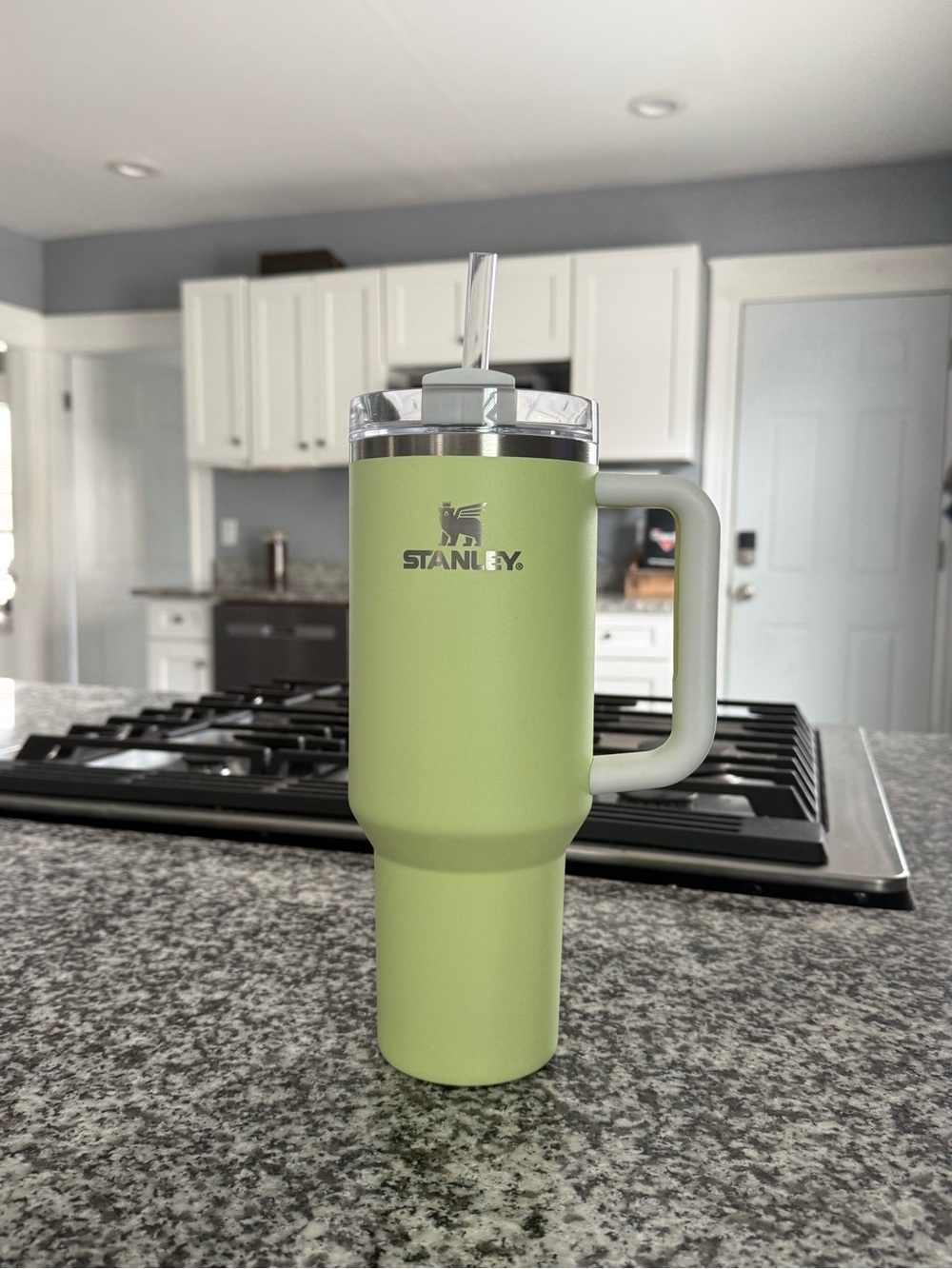 Stanley Light Green 40oz Tumbler
